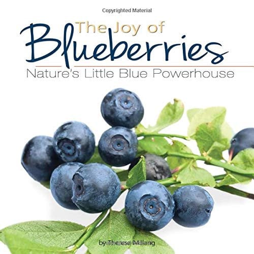 The Joy of Blueberries Nature's Little Blue Powerhouse