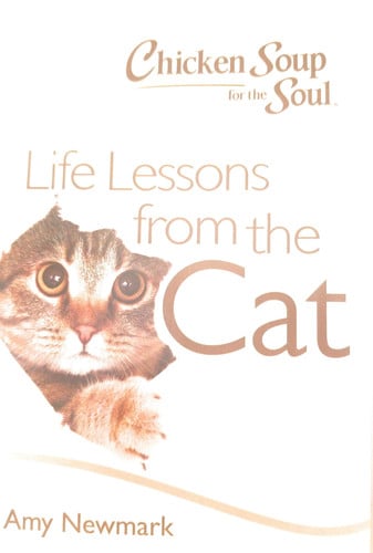 Chicken Soup For The Soul Life Lessons From The Cat
