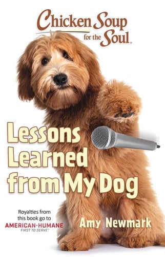 Chicken soup for the soul: lessons learned from my dog
