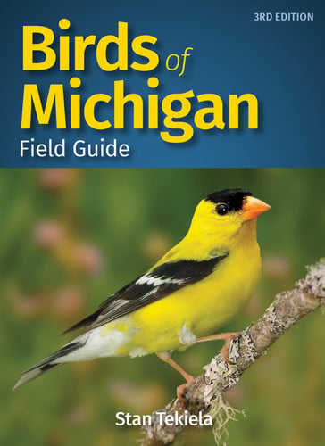 Birds of Michigan field guide