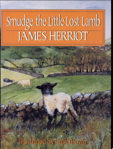 Smudge, the little lost lamb