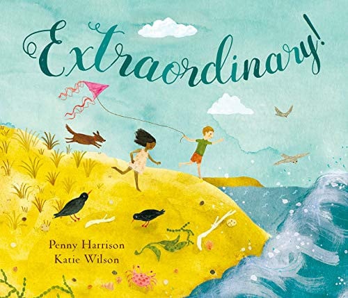 Extraordinary