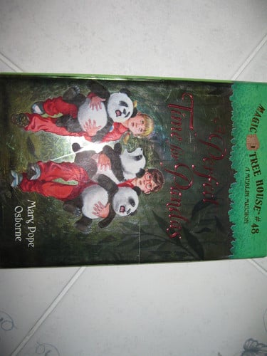 A Perfect Time for Pandas