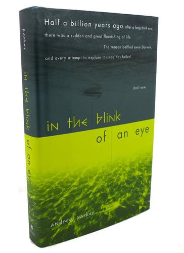 In The Blink Of An Eye