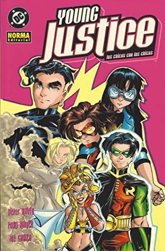 Young justice, los chicos con las chicas