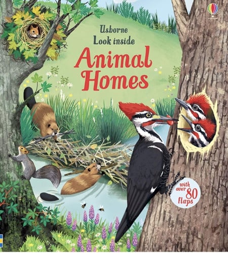 Look Inside Animal Homes IR