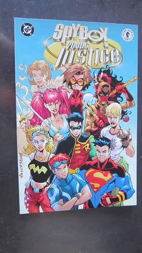 Spyboy Young Justice Young Spies Like Us