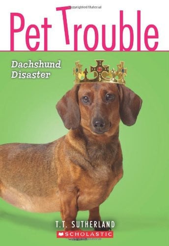Dachshund disaster