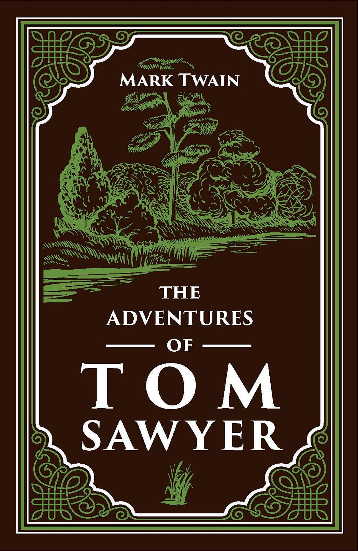 The Adventures of Tom Sawyer
