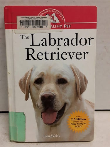 The Labrador retriever