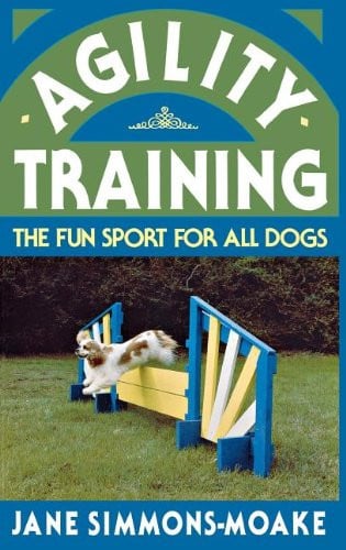 Agility training: the fun sport for all dogs