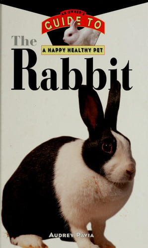 The rabbit