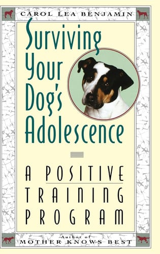 Surviving your dog's adolescence: a positive training program