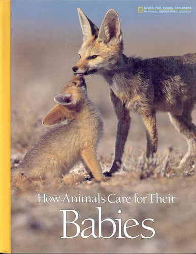 How Animals Care for Their Babies