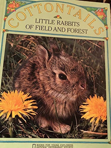 Cottontails Little Rabbits of Field and Forest