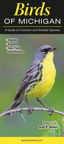 Birds of Michigan A Guide to Common and Notable Species