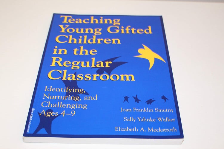 Teaching Young Gifted Children in the Regular Classroom Identifying, Nurturing, and Challenging Ages 4-9