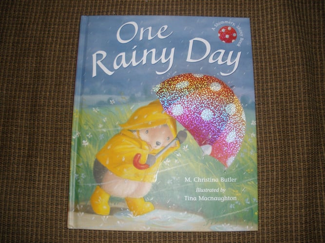 One Rainy Day A Shimmery, Shiny Book