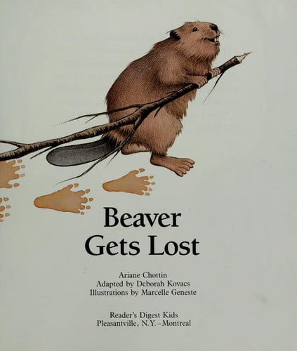Beaver Gets Lost