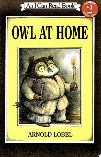 Owl at Home