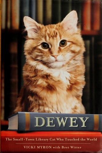 Dewey : the small-town library cat who touched the world