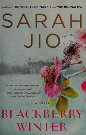Blackberry winter: a novel