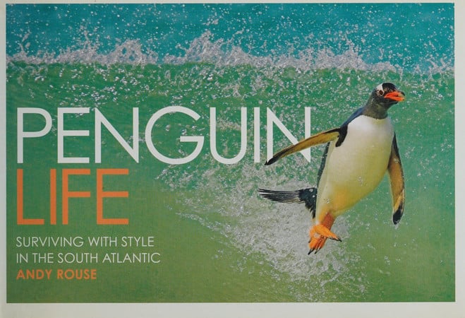 Penguin Life Surviving with Style in the South Atlantic