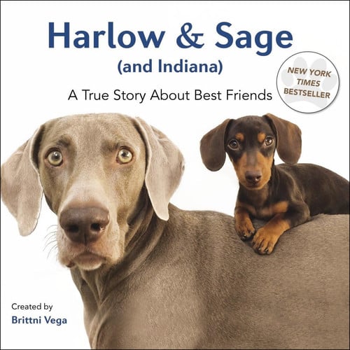 Harlow & Sage (and Indiana): a true story about best friends