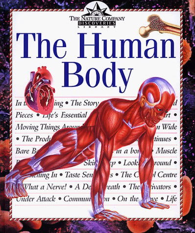 The human body
