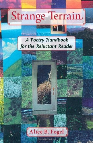 Strange terrain: a poetry handbook for the reluctant reader
