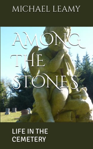 Among the Stones Life in the Cemetery
