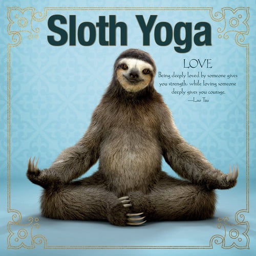 Sloth yoga