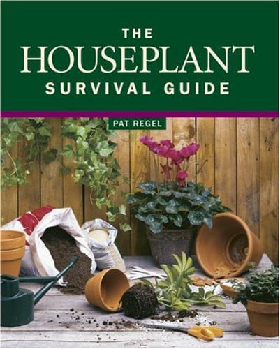 The houseplant survival guide