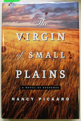 The virgin of Small Plains: a novel