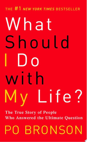 What Should I Do with My Life?