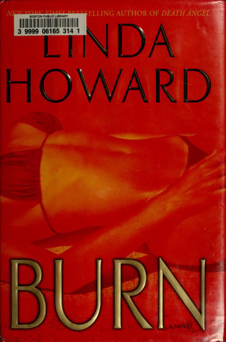 Burn: a novel