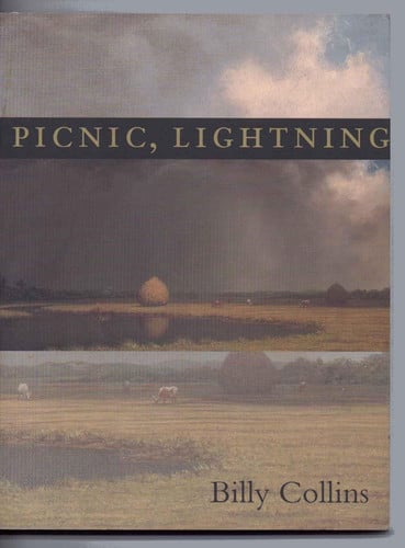Picnic, lightning