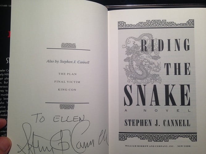 Riding the snake: a novel