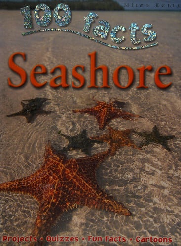 Seashore