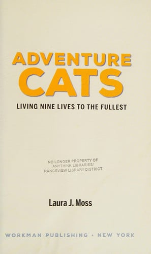 Adventure cats: living nine lives to the fullest