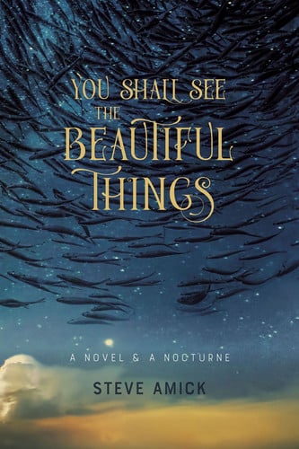 You Shall See the Beautiful Things A Novel