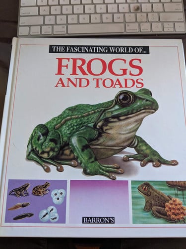 The fascinating world of frogs and toads