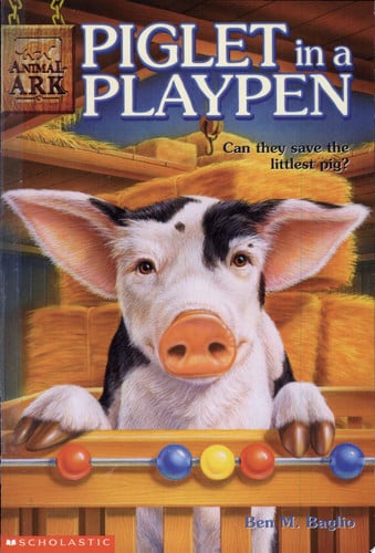 Piglet in a Playpen