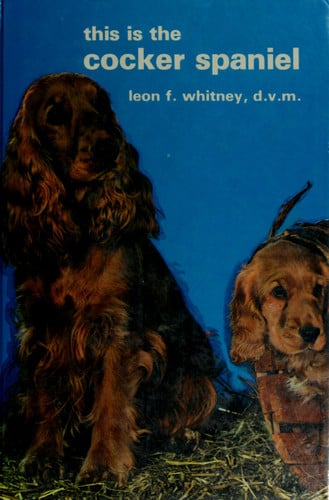This is the Cocker Spaniel