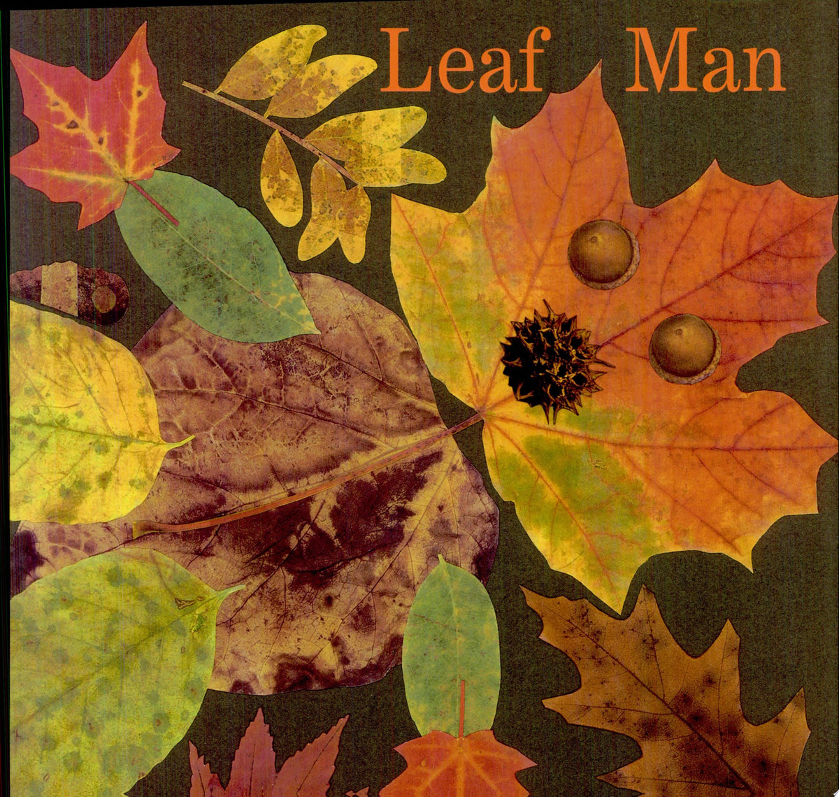 Leaf Man