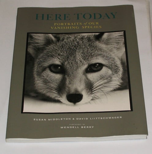 Here today: portraits of our vanishing species