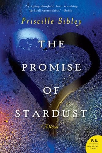 The promise of Stardust