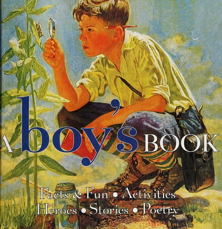 A Boy's Book