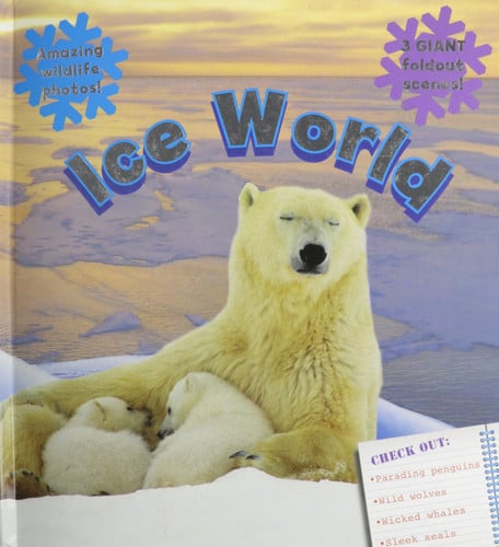 Ice World