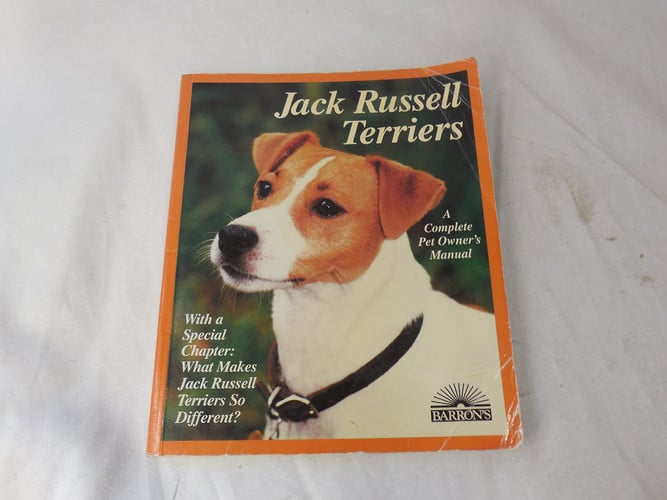 Jack Russell terriers: everything about adoption, purchase, care, nutrition, behavior, and training
